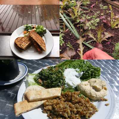 Calthorpe Garden Cafe