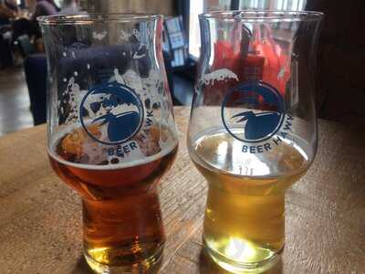 Beer Hawk Charterhouse
