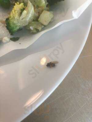 Leon - Kensington High Street