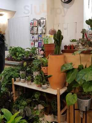 Travelling Through Cafe