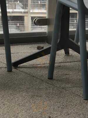 John Lewis - The Place To Eat