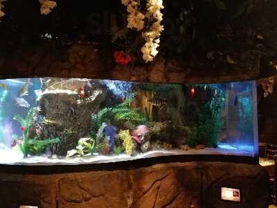 Rainforest Cafe