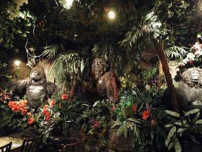 Rainforest Cafe