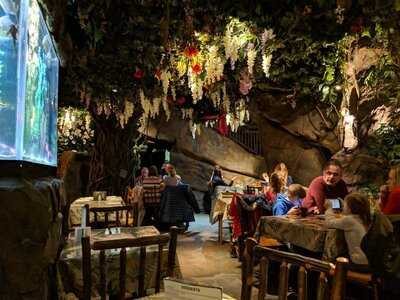 Rainforest Cafe