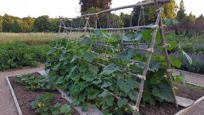 Gardenhouse Restaurant