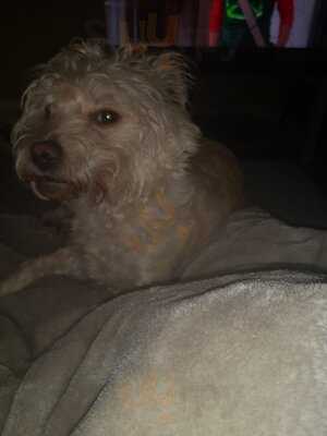 Feng Sushi - Fulham Road