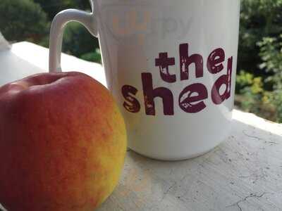 The Shed