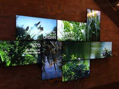 The Larder At Walthamstow Wetlands