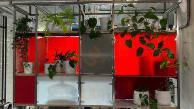 The Pill Box Kitchen