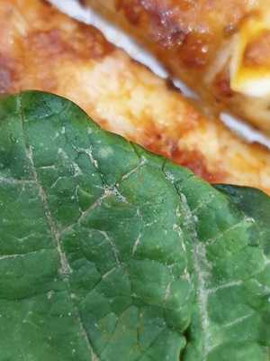 Shoreditch Wood Fried Pizza