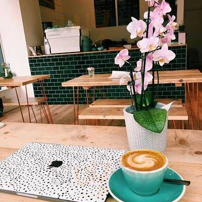 Bamboo Wellness Cafe