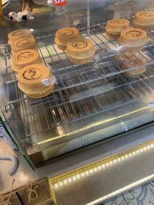 Dragon Cat Cafe - Photo 8