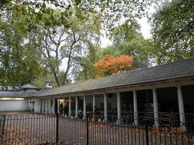 Pistachios In The Park