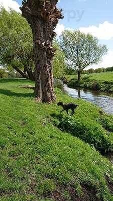 Cafe Roehampton Gate