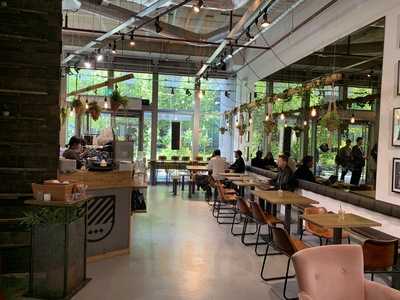 Department Of Coffee And Social Affairs