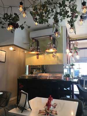 Tomf Taste Of Modern Food