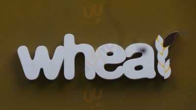 Wheat