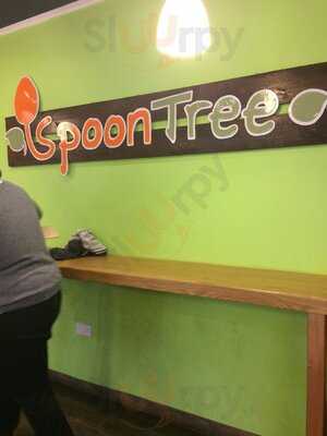 Spoon - Tree