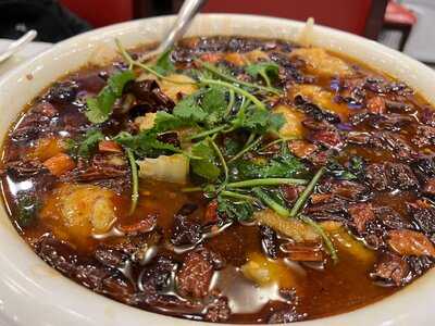 New China Restaurant London