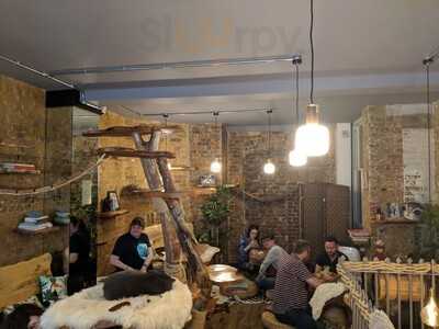 This Is A Coffee Shop