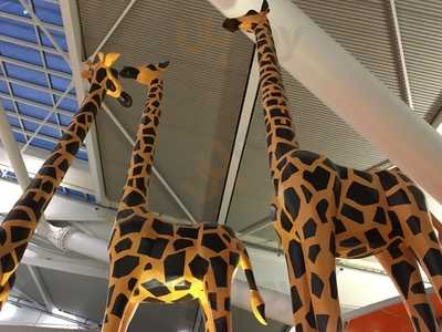 Giraffe World Kitchen