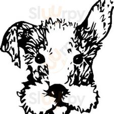 Riley The Ice Cream Cafe