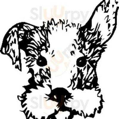 Riley The Ice Cream Cafe