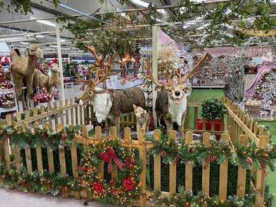 Wyevale Garden Centre Coffee Shop