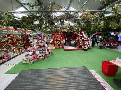 Wyevale Garden Centre Coffee Shop