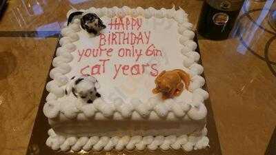 Roni's Bagel Bakery And Cafe