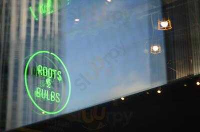 Roots And Bulbs