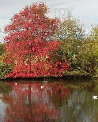 The Palmers Greenery