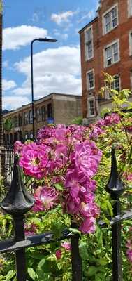 Domino's Pizza - London - Hackney