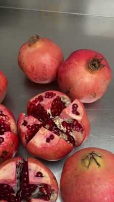 Pizza Kebab Chicken Centre