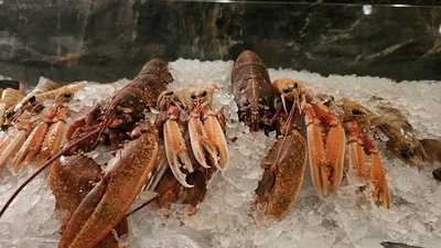 The Eventoracle Brasserie