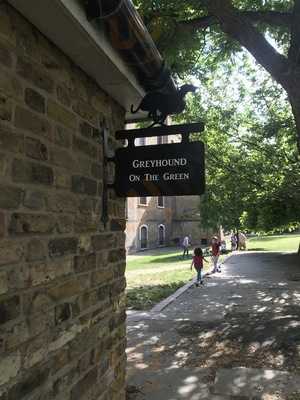 Greyhound On The Green