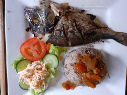 Spicy Grill Caribbean And Tandoori Cuisine