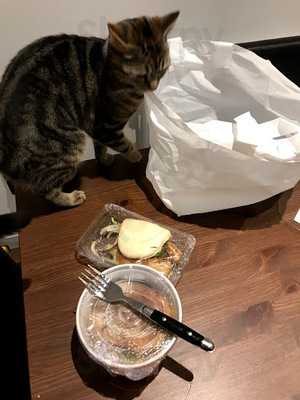 Master Roshi's Ramen Bar