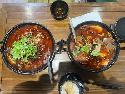 Taste Of China - Angel N1