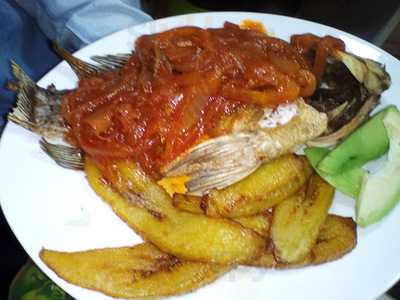 Le Palmier Chez Niane