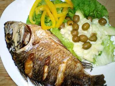 Le Palmier Chez Niane