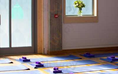 Cpress Triyoga Ealing