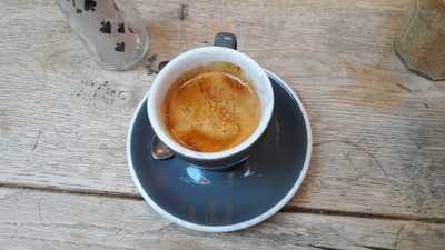 Department Of Coffee & Social Affairs