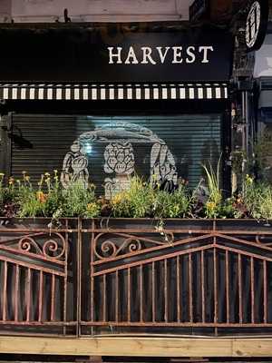 Harvest Restaurant