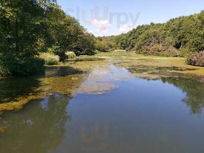 The Holman Clavel Inn