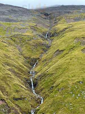 The Golden Larches Cafe And B&b