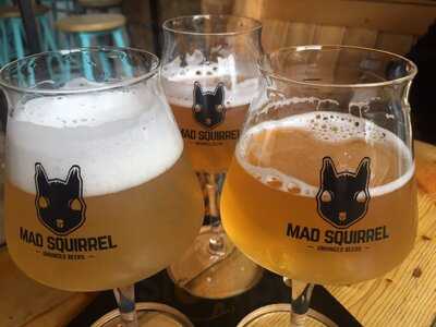 Mad Squirrel Tap & Bottle Shop