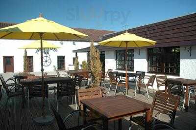 The Birds And The Bees