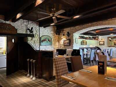 The Birds And The Bees