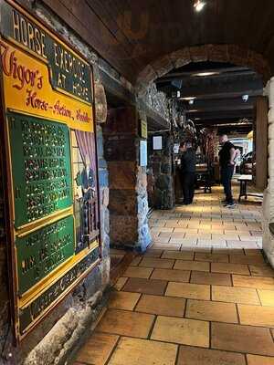 The Birds And The Bees